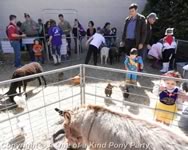 Pony Party : Combination Package