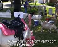 Pony Party : Combination Package