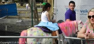 Dallas Texas Pony Party
