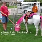Dallas Texas Pony Party