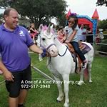 Dallas Texas Pony Party