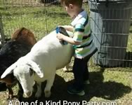 Dallas Texas Petting Zoo