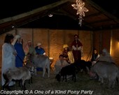 Nativity Rental in Dallas Texas