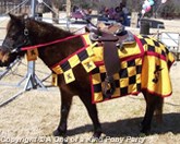 Theme Birthday Parties in Dallas Texas